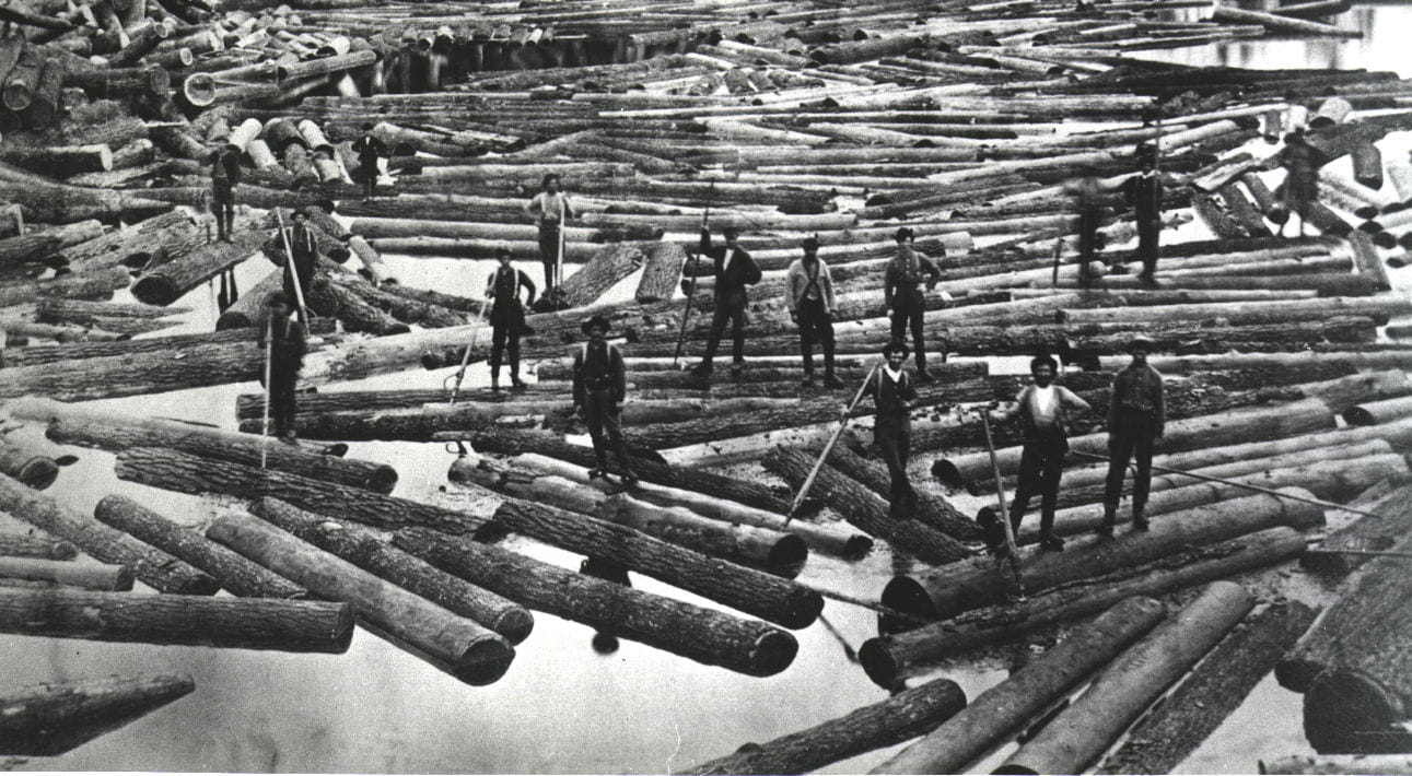 Logging 1890s