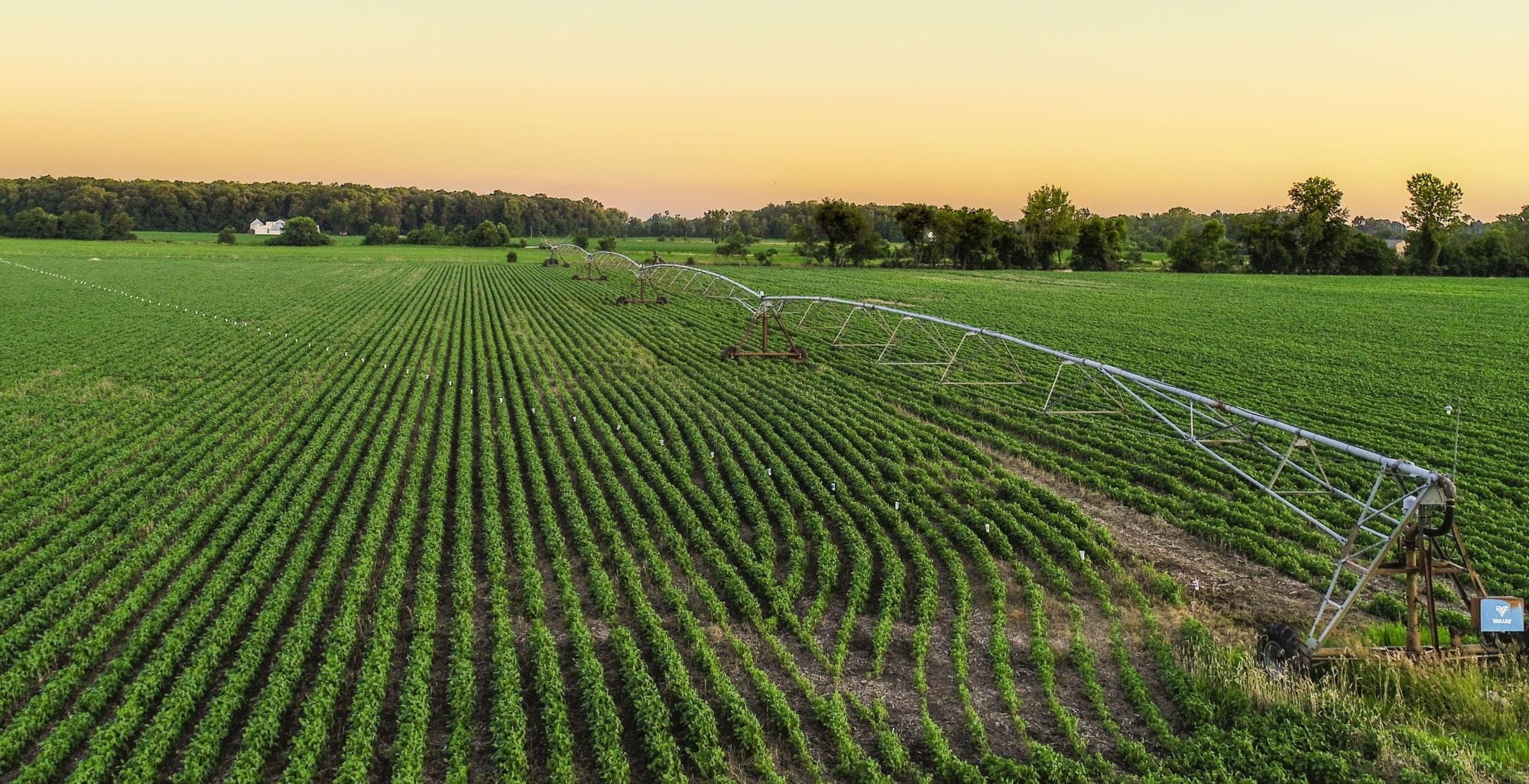 An irrigation system on a farm field. Photo courtesy of MSU Extension.