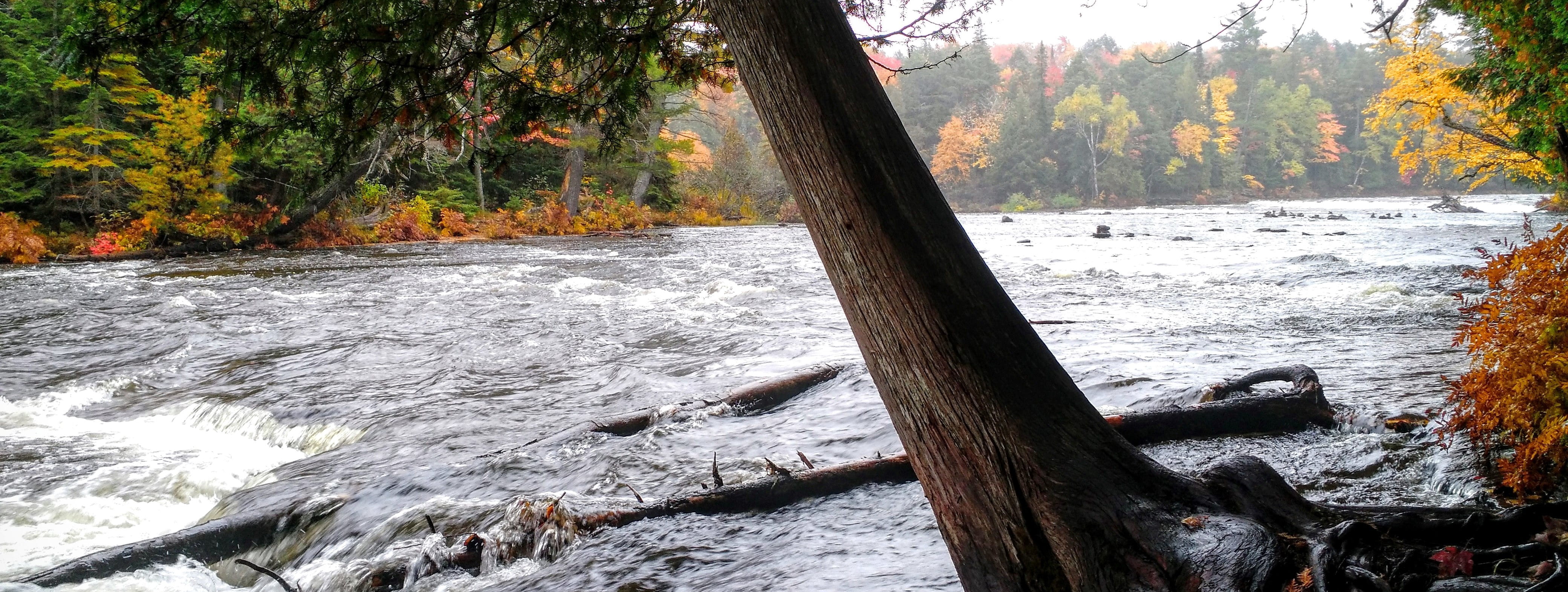 Water Resource Banner