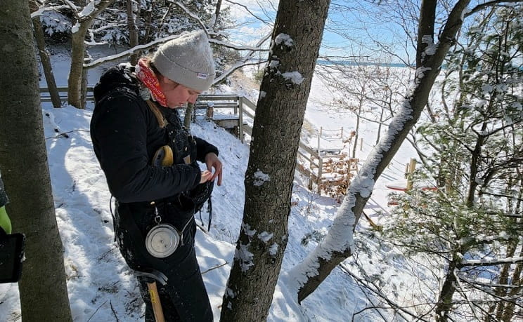 A woman in a woolen hat and wearing an equipment belt stands next to the trunk of a hemlock tree on a snow-covered dune above Lake Michigan.