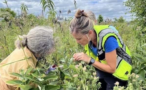 Two women in a tall-grass prairie lean in to inspect a plant.
