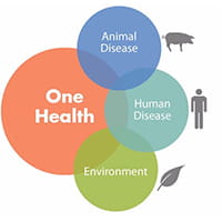 One Health, Animal Disease, Human Disease, Environment, Logo