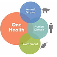 One Health, Animal Disease, Human Disease, Environment, Logo