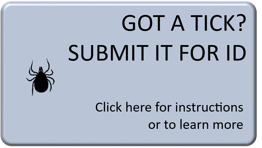 Got A TICK? SUBMIT IT FOR ID, Information on identifying and testing ticks
