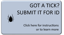 Got A TICK? SUBMIT IT FOR ID, Information on identifying and testing ticks