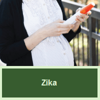 Zika Virus