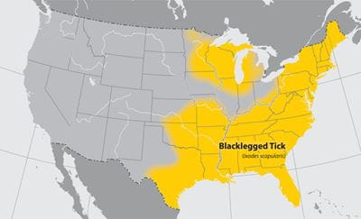 Anaplasmosis Distribution 2013 Map