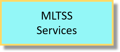 MLTSS Services