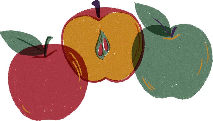 Illustration of three apples and one is cut in half and browning inside