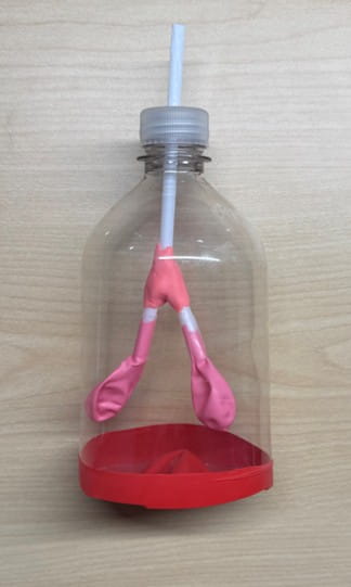 Plastic bottle with balloons and a straw inside to simulate a lung model