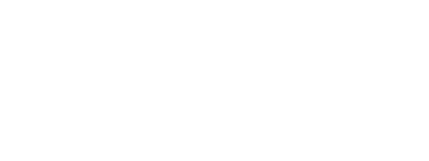 MDHHS Logo
