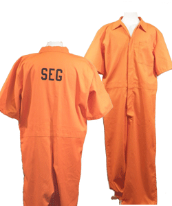 Prisoner Jumpsuit (Segregation Style)