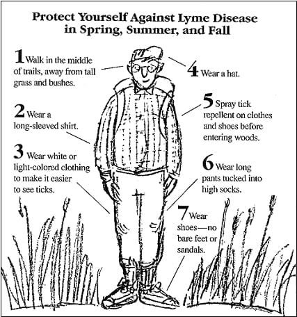 Lyme Disease Pictures: Causes, Tests, Prevention, & More