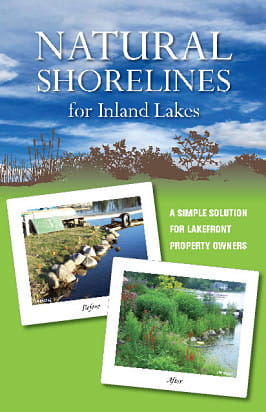 Natural Shorelines Brochure cover