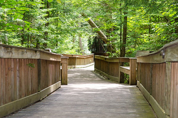 a wooden walkway at the RAM Center