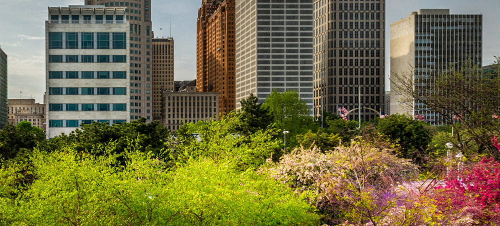 Spring trees in front of tall buildings in Detroit