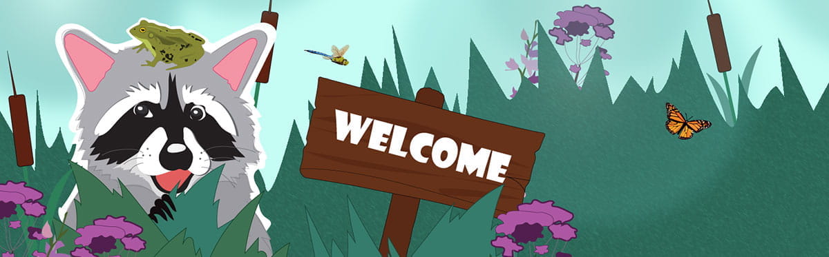What in the Wild banner - cartoon racoon, frog, dragonfly, butterfly