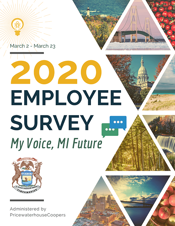 2020 Employee Survey Infographic