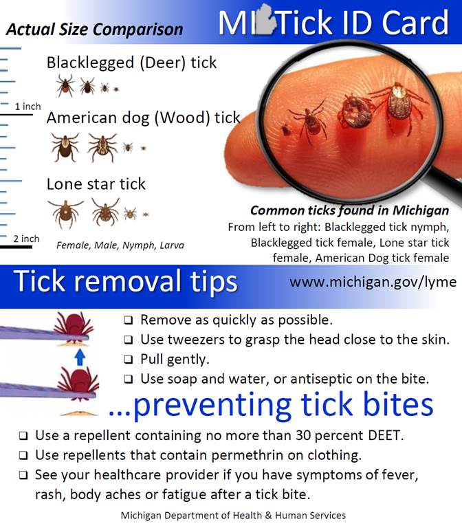 Lyme disease ticks uk map at jeremy sanchez blog