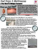 Bed Bugs Fact Sheet In Spanish Bed Bugs Fact Sheet In Spanish