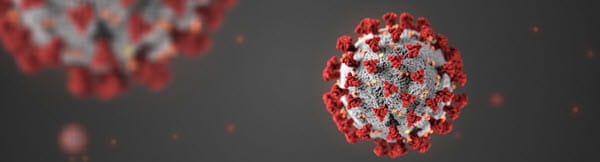 microscopic image of the Coronavirus