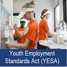 Youth Employment Standards Act (YESA) Button