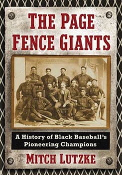 The Page Fence Giants book cover