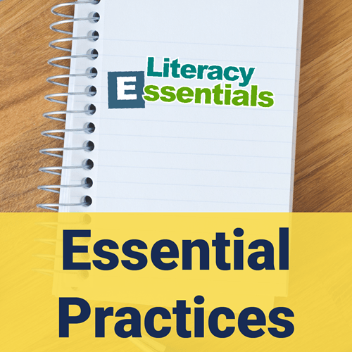 MDE Literacy in Michigan and Essential Practices