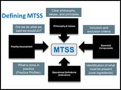 Mtss Process Flow Chart