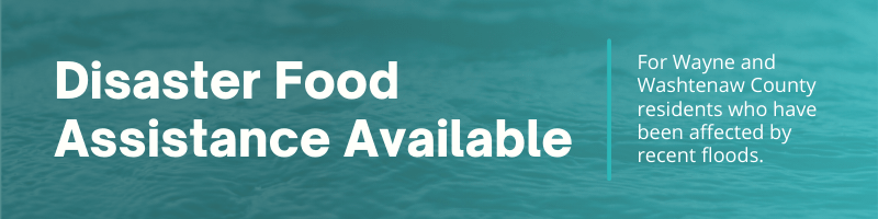Disaster SNAP Banner