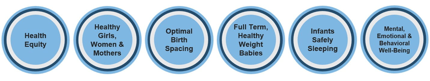 Six Primary Priorities of the MIHEIP