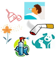 collage of asthma triggers (dust, pollen, smoke, cleaning chemicals, dog, cat)