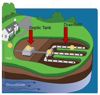 Septic system illustration