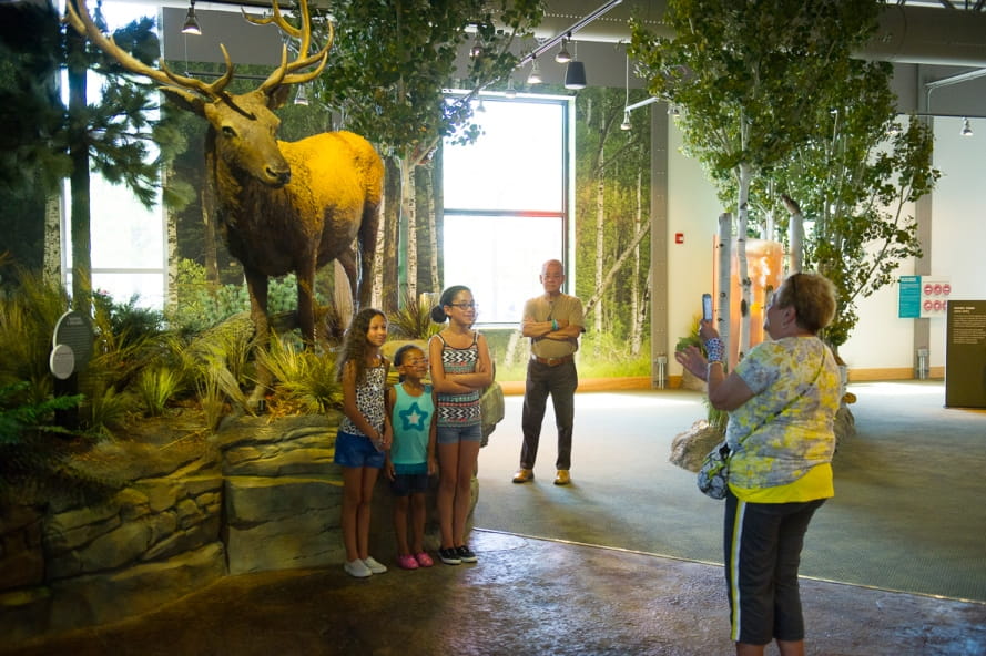 OAC elk and kids (horizontal)