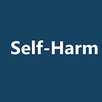 Self-harm PSA button