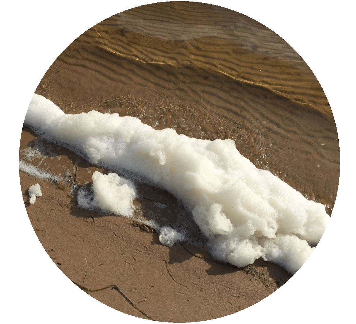 PFAS Response PFAS Foam on Lakes and Streams