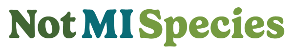 NotMISpecies program logo