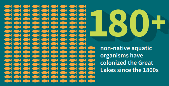 An infographic stating 180+ nonnative aquatic organisms have colonized the Great Lakes since 1800.