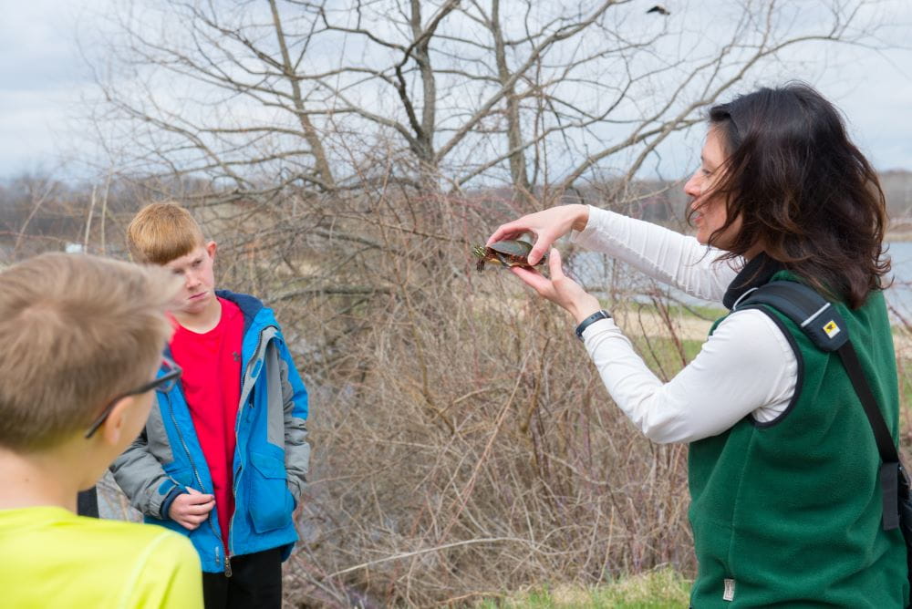 Two young students in an outdoor location listen to an educator holding up a small turtle in her hands.