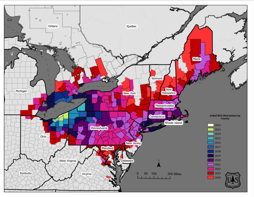 A map of beech leaf disease progression through the U.S., 2012-2021