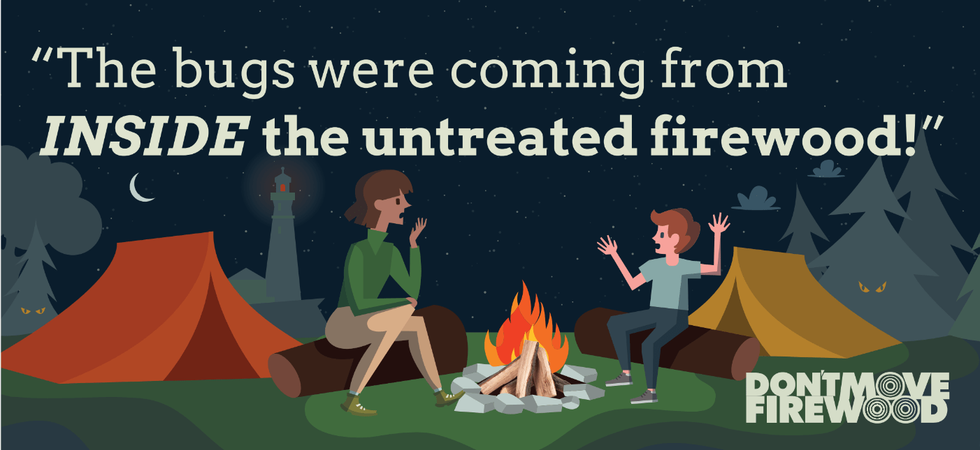 An infographic showing two campers at night by a campfire, with two tents in the background. Caption reads, "The bugs were coming from INSIDE the untreated firewood."