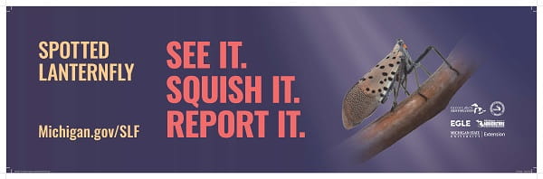 A spotted lanternfly billboard with an image of the adult insect and the message "See it. Squish it. Report it."