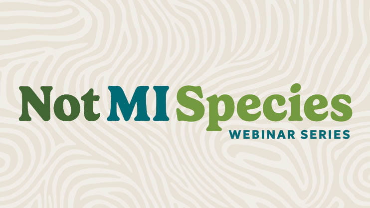 Banner: NotMISpecies webinar series.