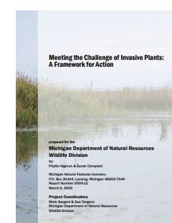 Invasive plant management strategy