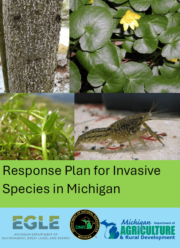 Photos of balsam woolly adelgid, lesser celandine, hydrilla and marbled crayfish over the title "Response Plan for Invasive Species in Michigan."