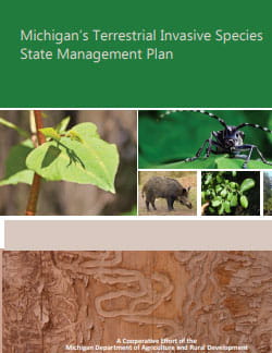 TIS plan cover