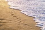 OPLA Michigan beach image