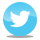 Twitter Bird