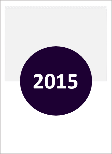 Icon representing 2015 annual report