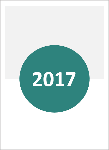 Icon representing 2017 annual report